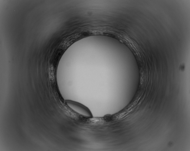 X0000100920477200806241118