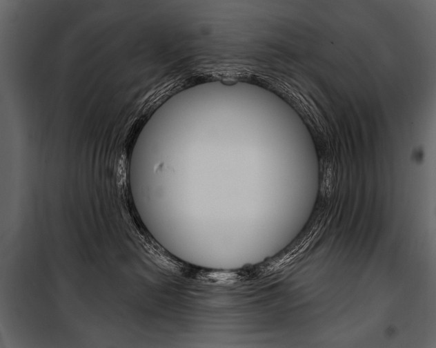 X0000100920478200806241118