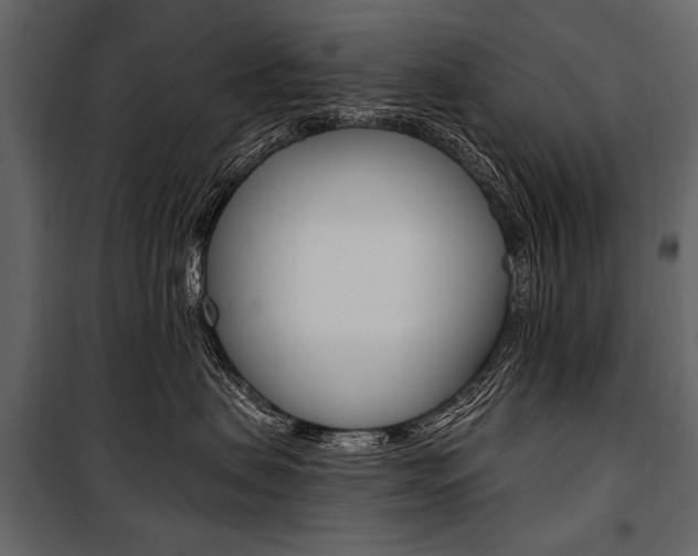 X0000100920479200806241118