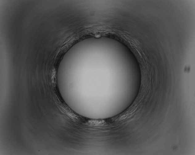 X0000100920480200806241118