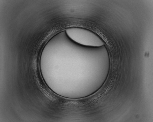 X0000100920482200806241117