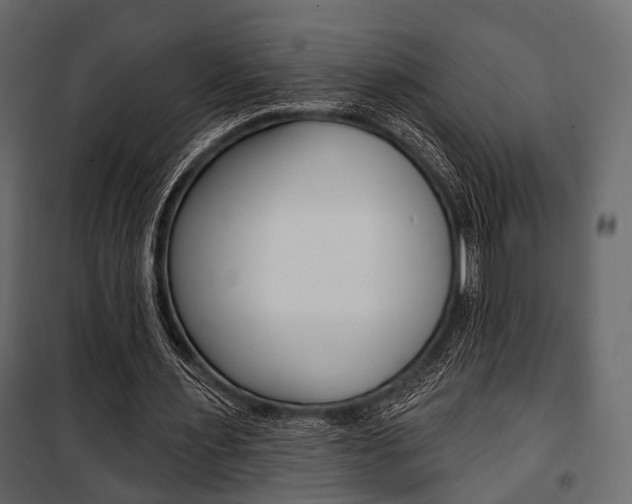 X0000100920483200806241117