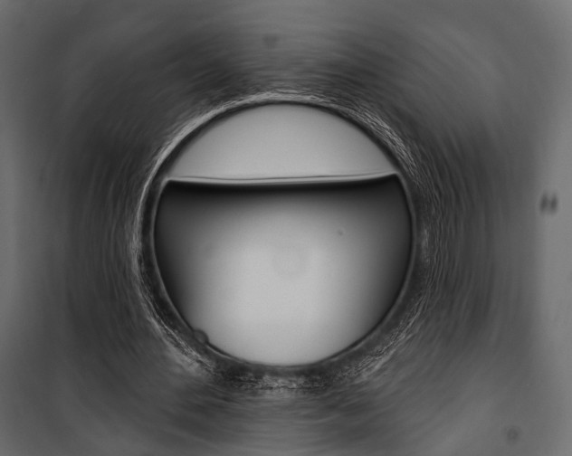 X0000100920484200806241117