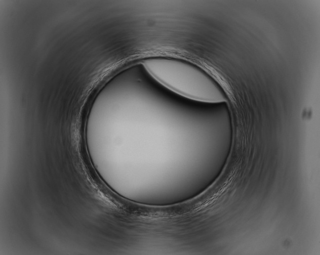 X0000100920485200806241117