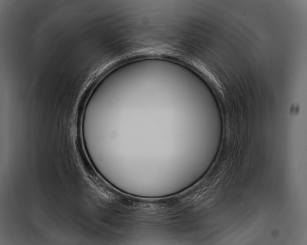 X0000100920486200806241117