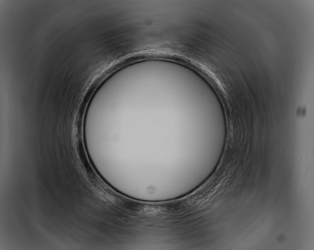 X0000100920487200806241117