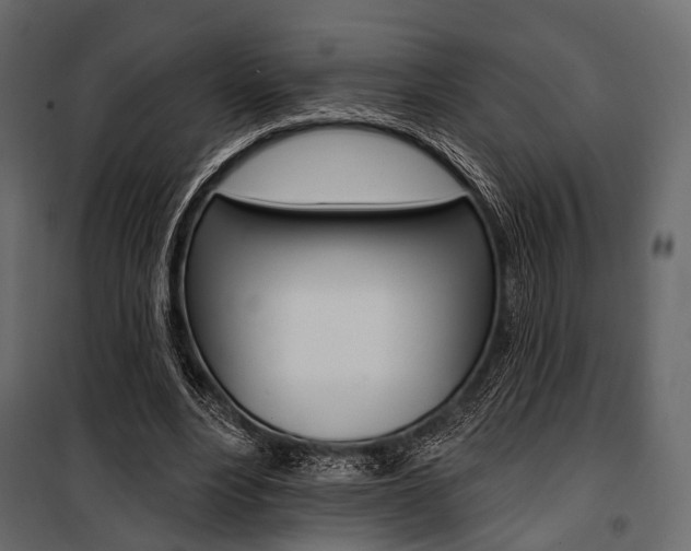 X0000100920488200806241117