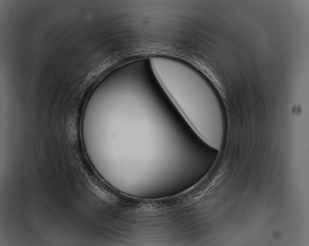 X0000100920489200806241117