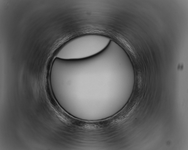 X0000100920490200806241117