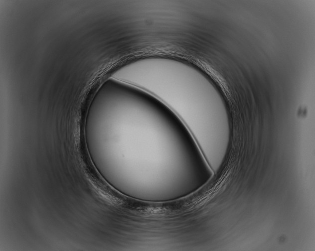 X0000100920493200806241117