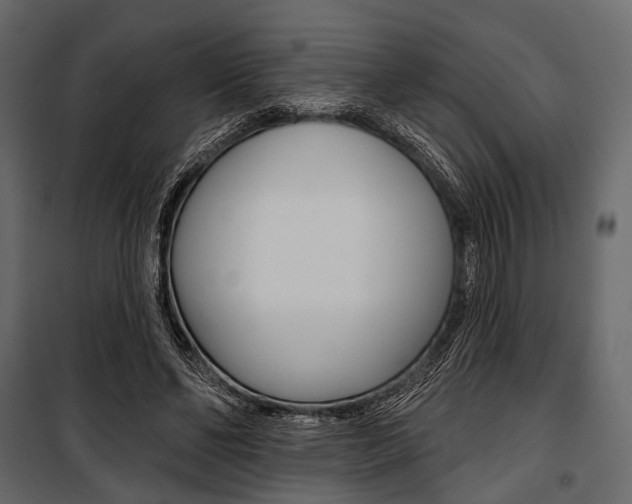 X0000100920494200806241117