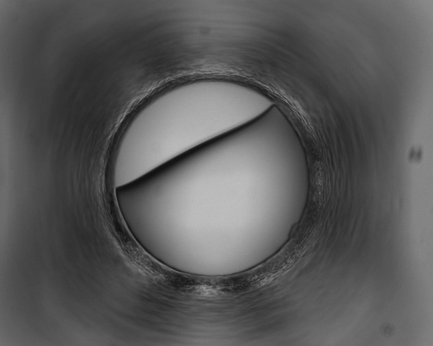 X0000100920496200806241117