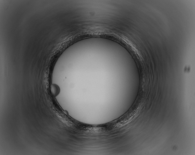 X0000100920497200806241117