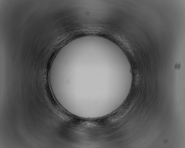 X0000100920498200806241117