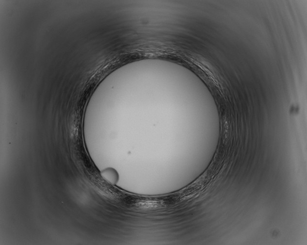 X0000100920499200806241117