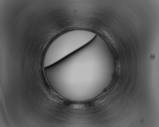 X0000100920500200806241117