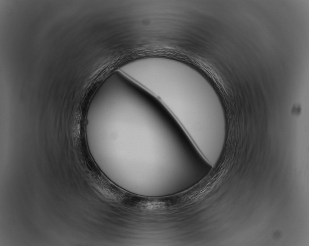 X0000100920501200806241117
