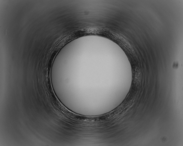 X0000100920502200806241117