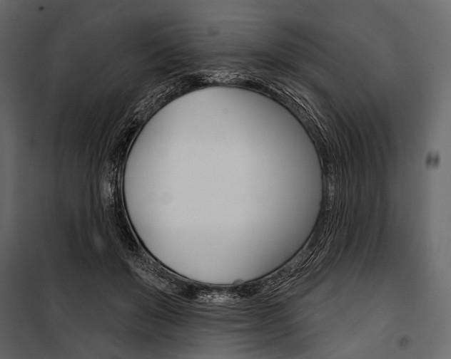X0000100920503200806241117