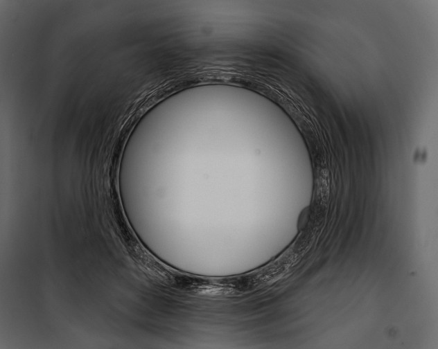 X0000100920504200806241117