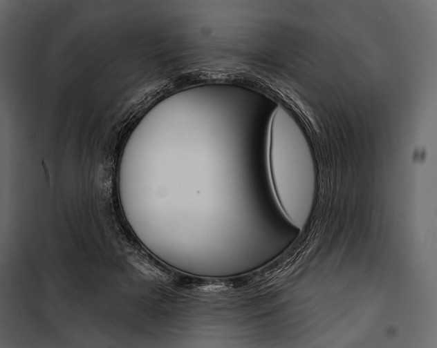 X0000100920505200806241117