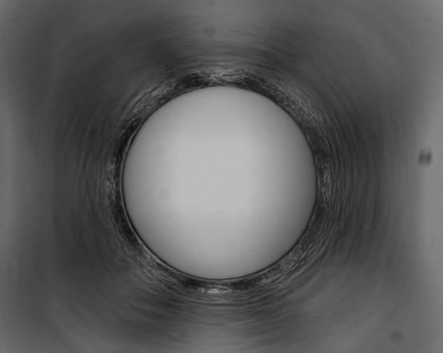 X0000100920506200806241117