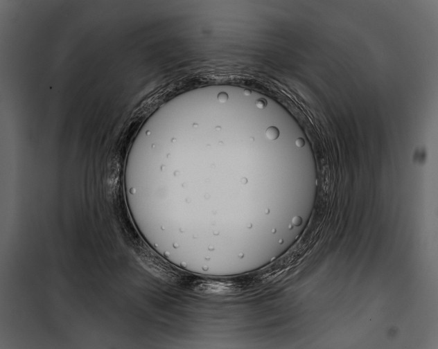 X0000100920507200806241117