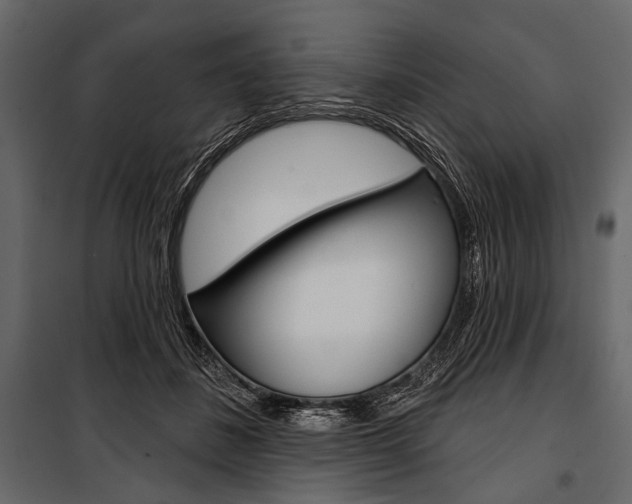 X0000100920508200806241117