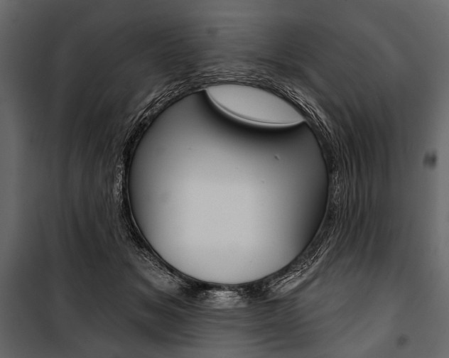X0000100920509200806241117