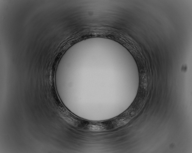 X0000100920510200806241117