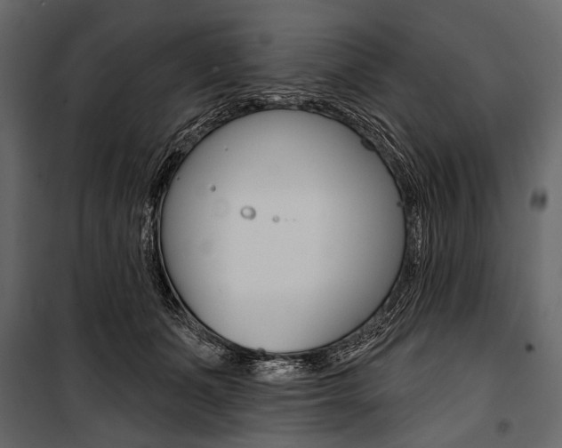 X0000100920511200806241116
