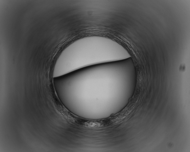 X0000100920512200806241116