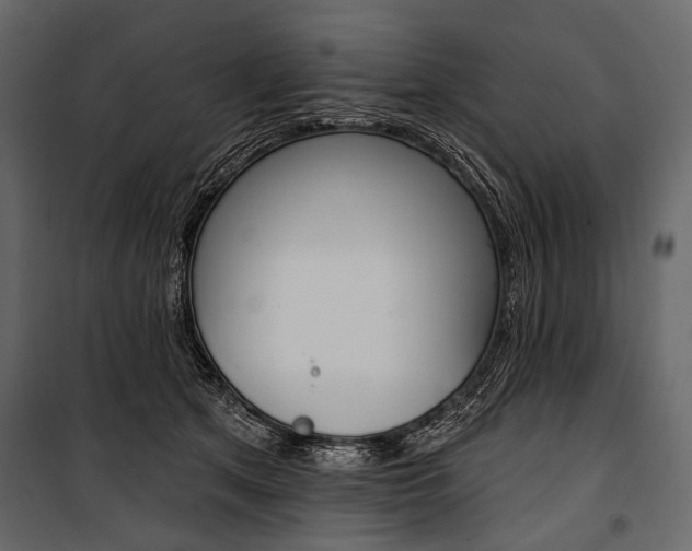 X0000100920513200806241116