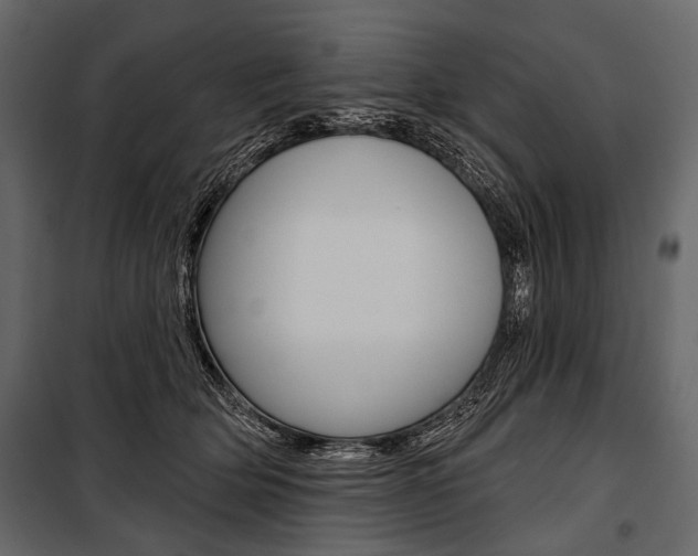 X0000100920514200806241116