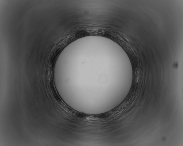 X0000100920515200806241116
