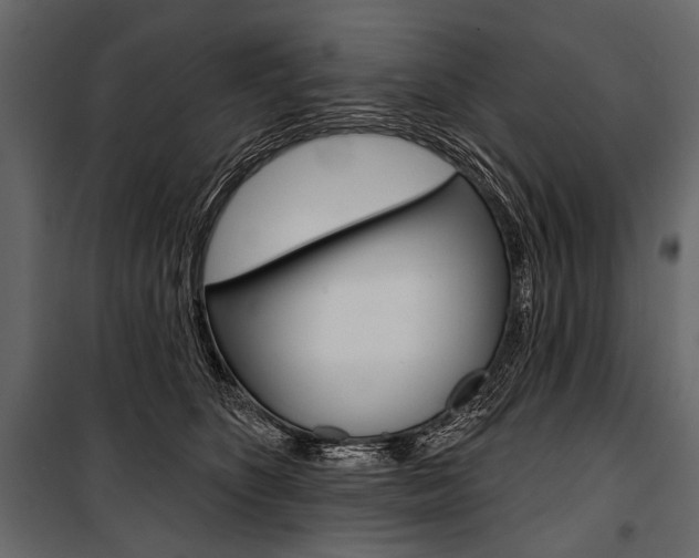 X0000100920516200806241116