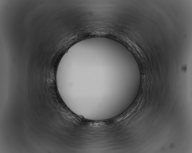X0000100920517200806241116