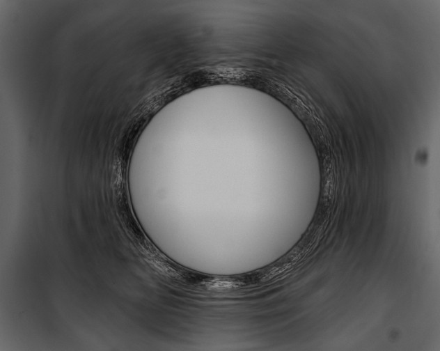 X0000100920518200806241116