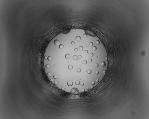 X0000100920519200806241116