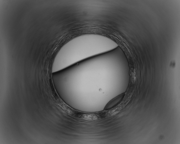 X0000100920520200806241116