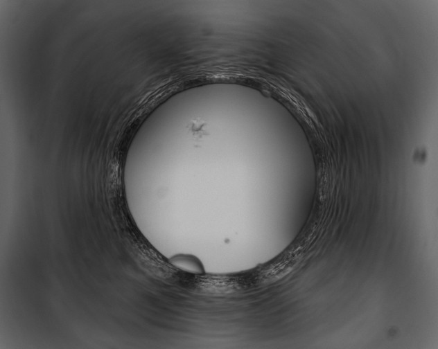 X0000100920521200806241116