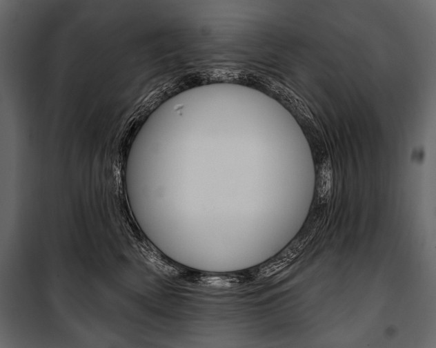 X0000100920522200806241116