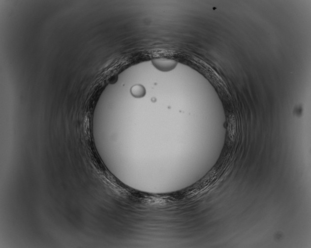 X0000100920523200806241116