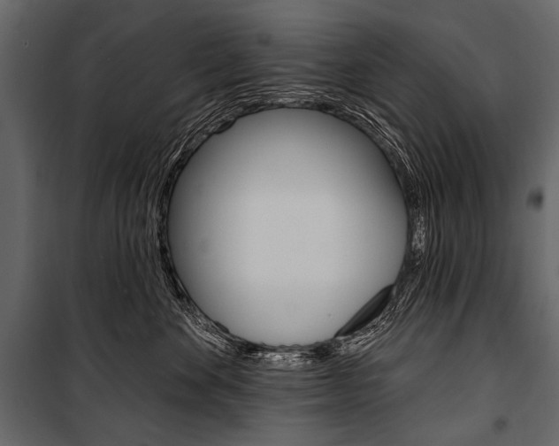 X0000100920524200806241116