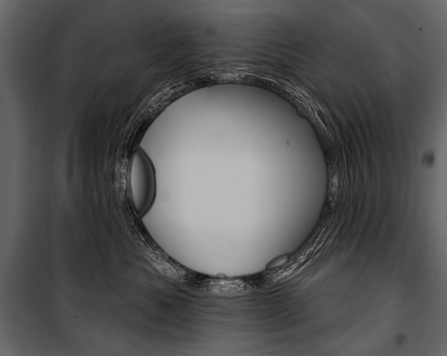 X0000100920525200806241116