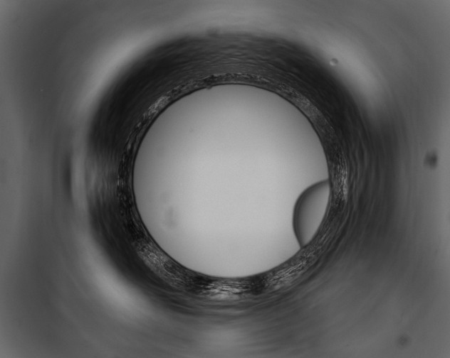X0000100920526200806241116