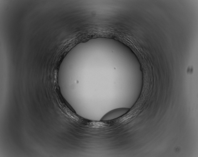 X0000100920528200806241116