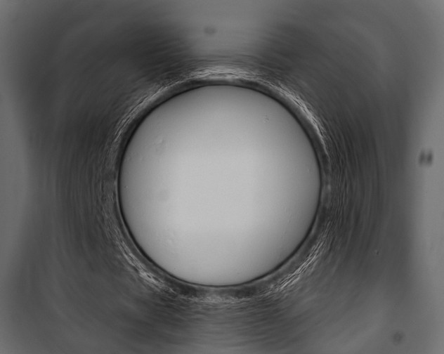 X0000100920529200806241115