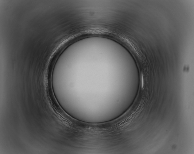 X0000100920531200806241115