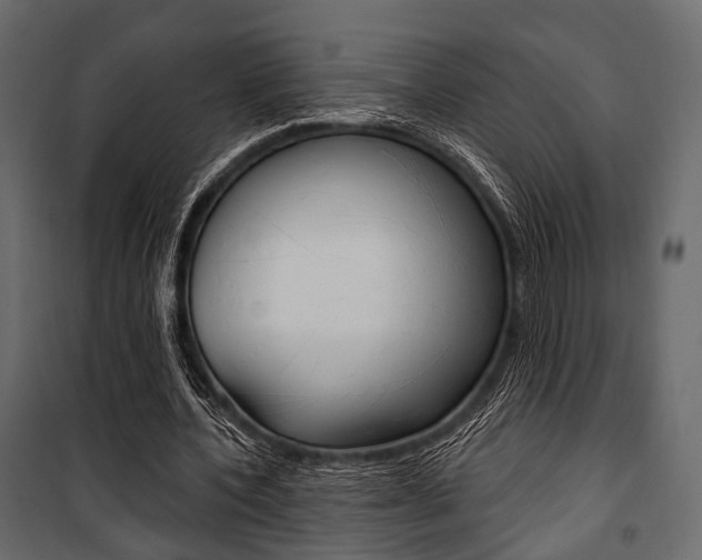 X0000100920532200806241115